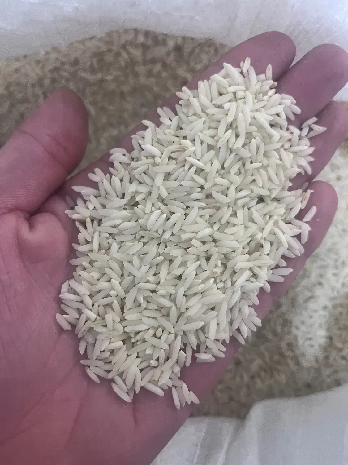 برنج علی کاظمی|خوردنی و آشامیدنی|بیرانوند, |دیوار