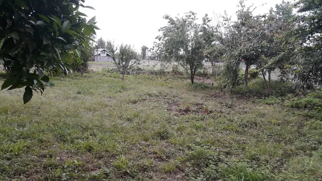 فروش زمین|فروش زمین و ملک کلنگی|سنگر, |دیوار