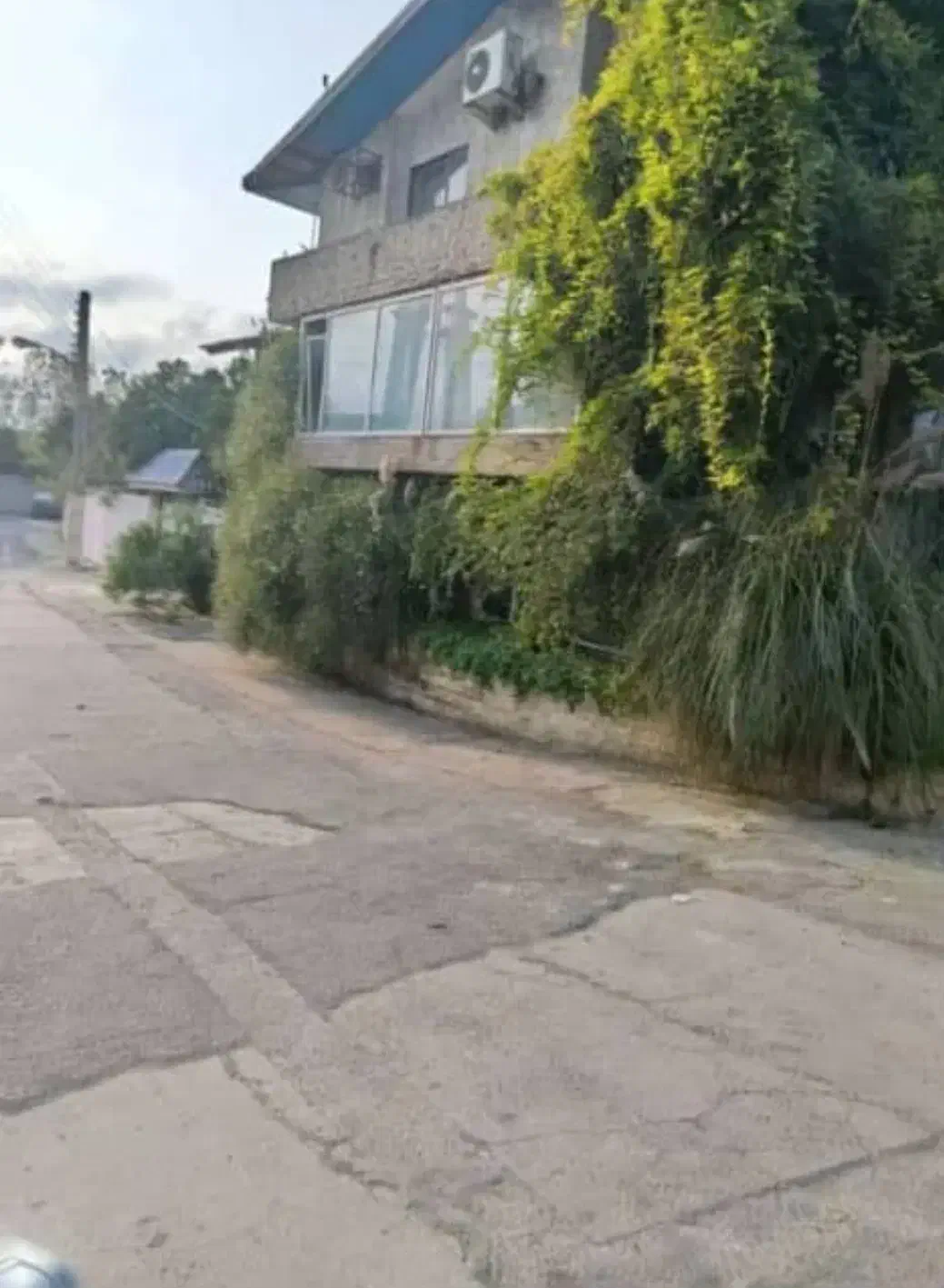 رهن و اجاره مغازه تجاری ۶۶متری با دو بالکن ۲۷متری|اجارهٔ مغازه و غرفه|محمودآباد, |دیوار