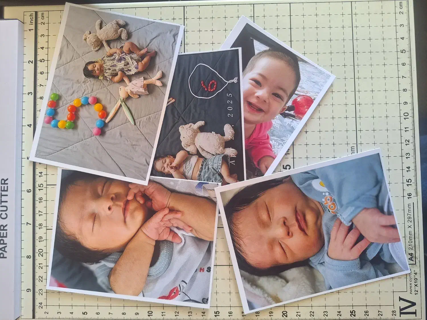 چاپ عمده عکس آلبومی|خدمات رایانهای و موبایل|یاسوج, |دیوار