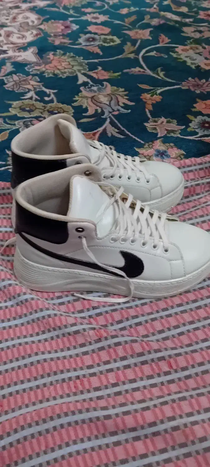 دو جفت کفش|کیف، کفش، کمربند|چناران, |دیوار