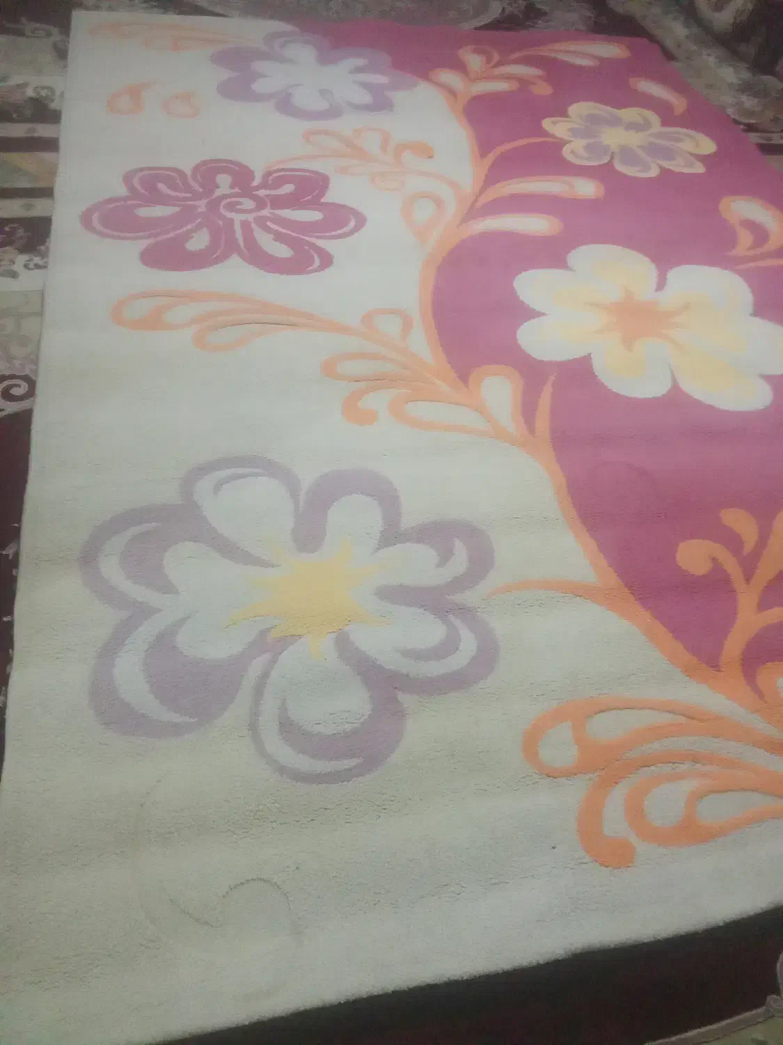 قالی فرش|فرش|داراب, |دیوار