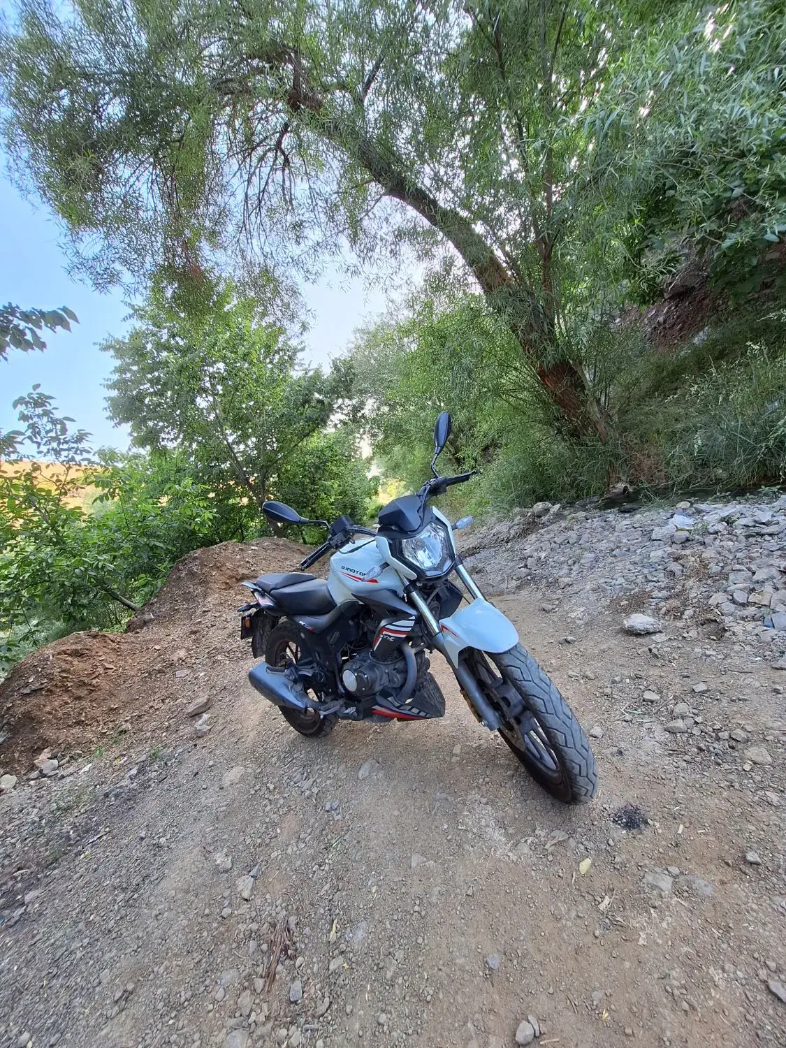 موتورسیکلت|موتورسیکلت|کرج, حیدرآباد|دیوار