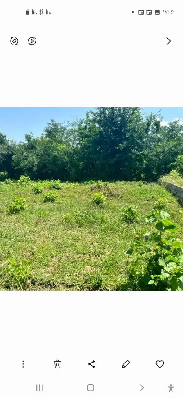 ۲۱۸متر زمین مسکونی باسند|فروش زمین و ملک کلنگی|رضوانشهر, |دیوار