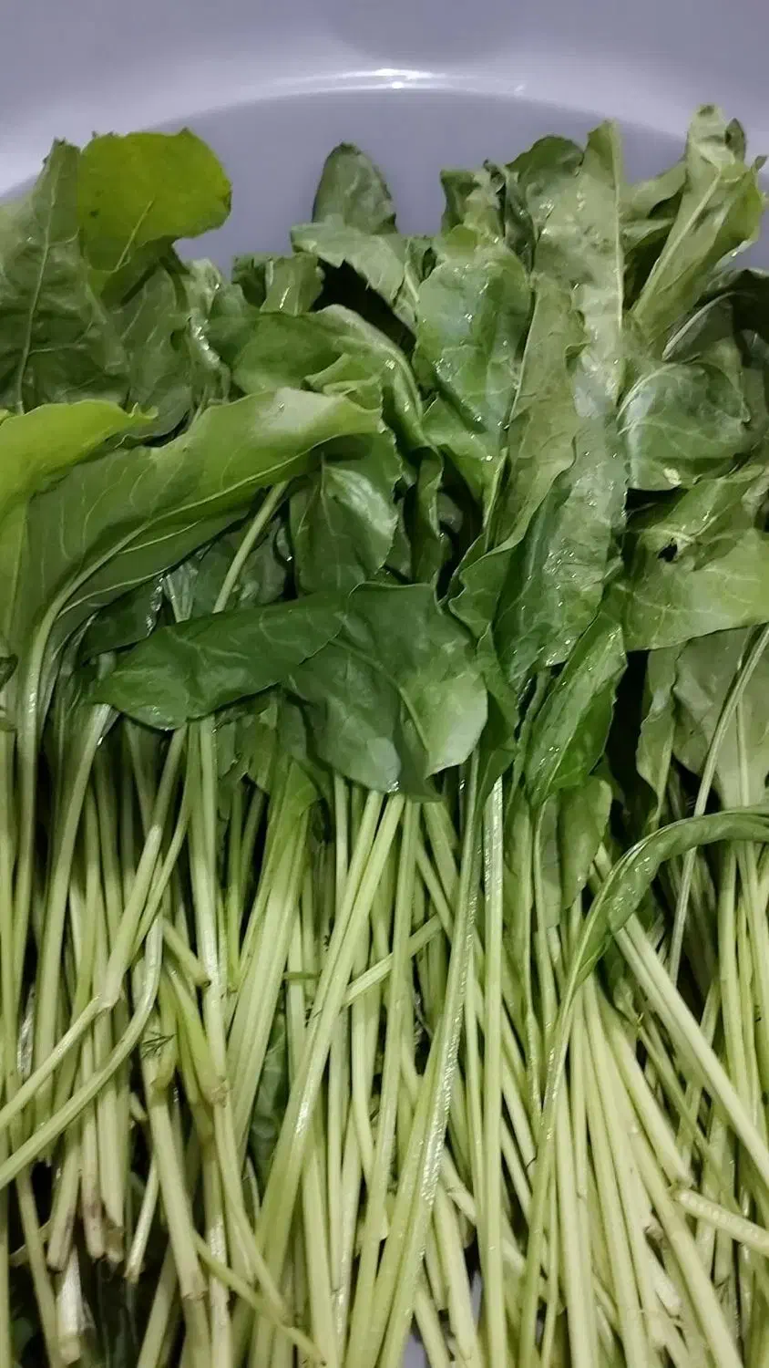 سبزی خورشت|عمدهفروشی|یاسوج, |دیوار