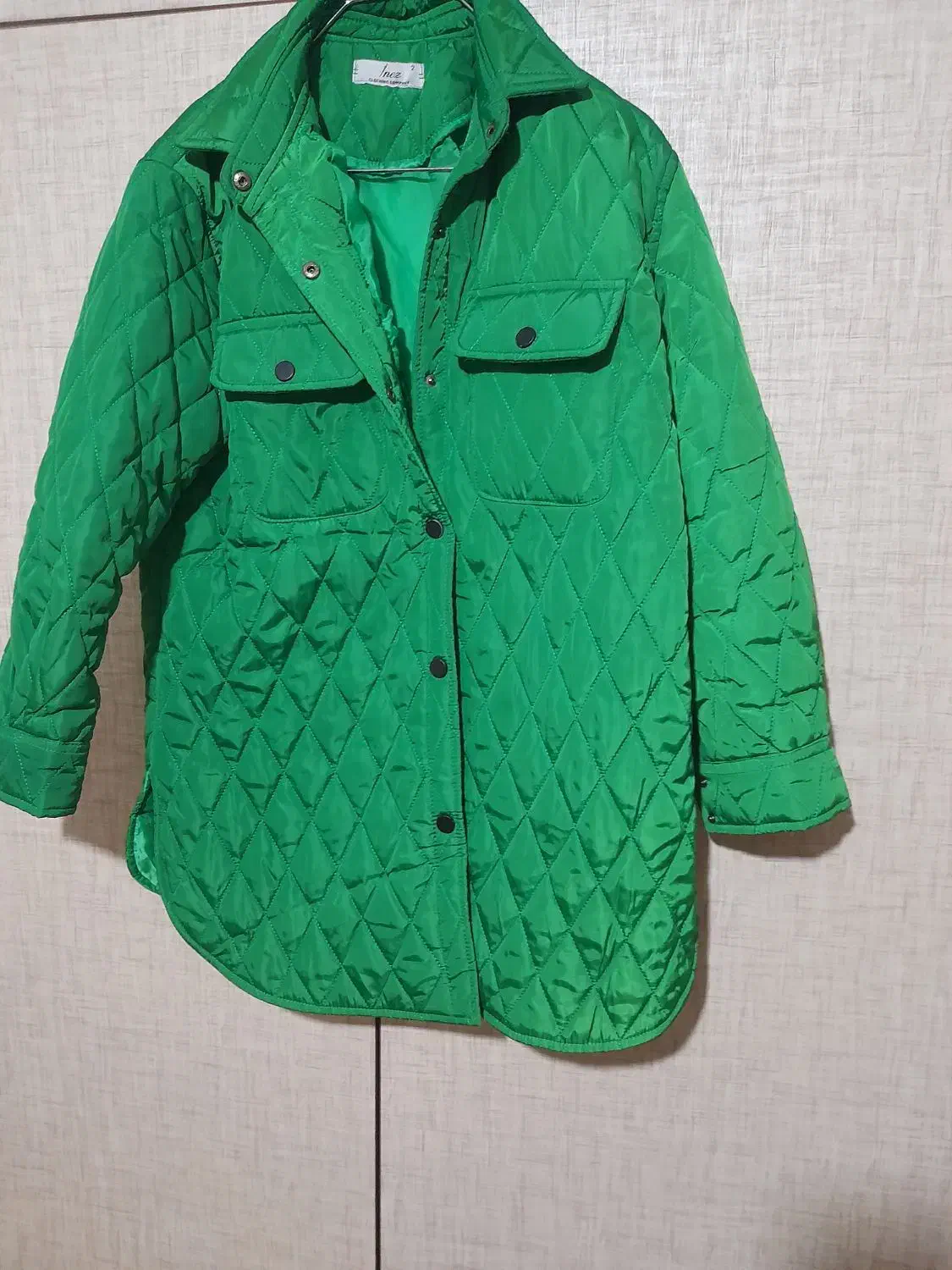 کاپشن سبزرنگ|لباس|ابهر, |دیوار