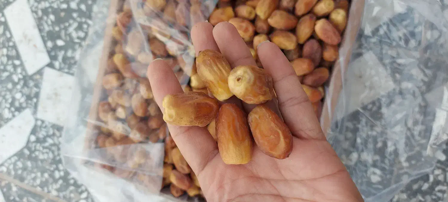 خرمای زاهدی درجه صادراتی بوشهر|خوردنی و آشامیدنی|تهران, امام خمینی|دیوار