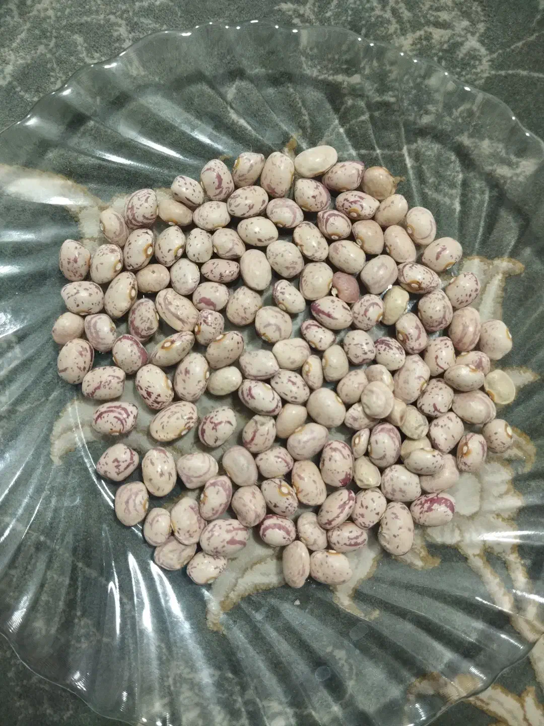 لوبیا چیتی|خوردنی و آشامیدنی|شیراز, شهدای شهرک سعدی|دیوار