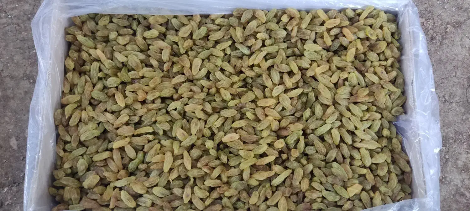 کشمش سبز|خوردنی و آشامیدنی|تهران, هرندی|دیوار