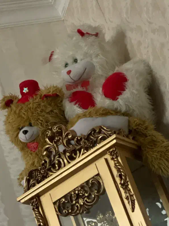 عروسک بزرگ|اسباببازی|کاشمر, |دیوار