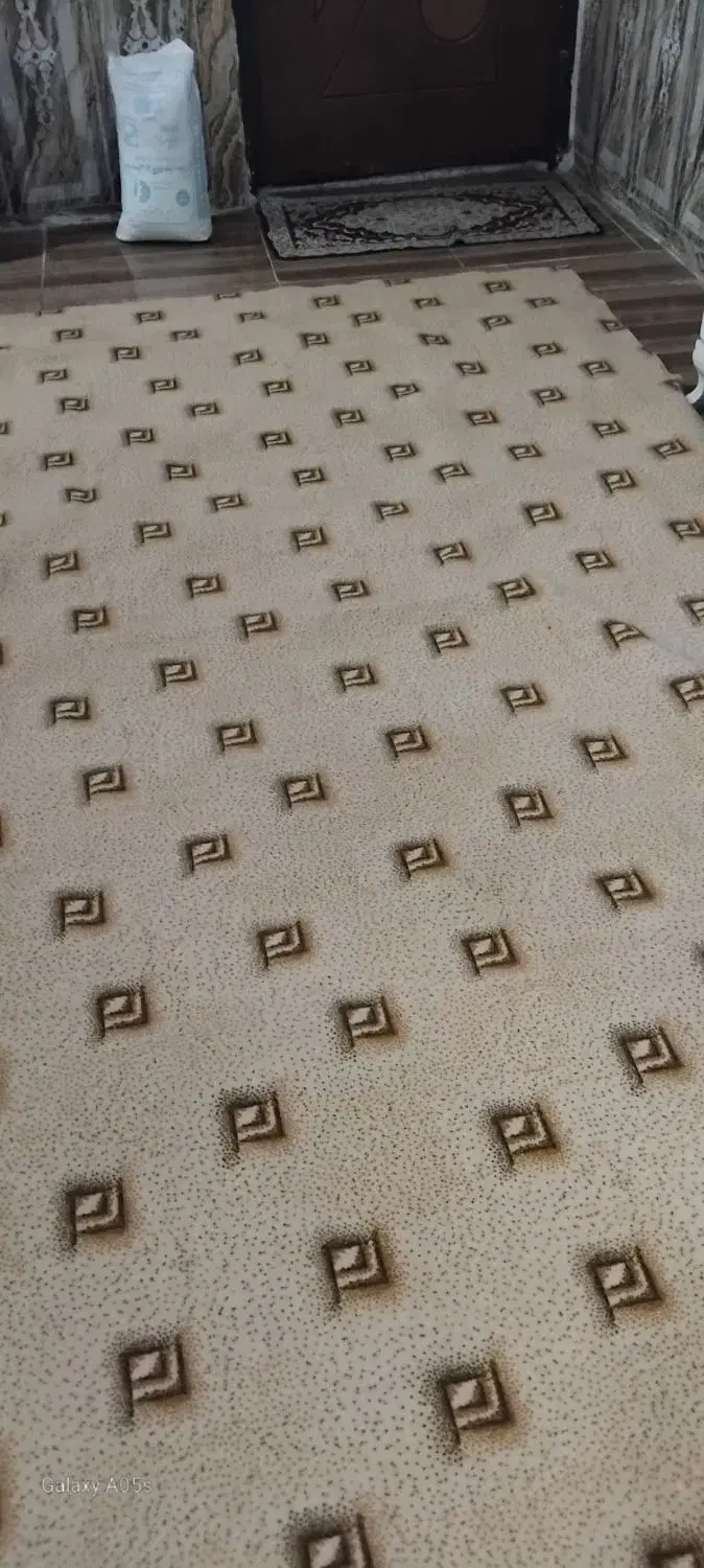 موکت|موکت|اهواز, پردیس دو|دیوار