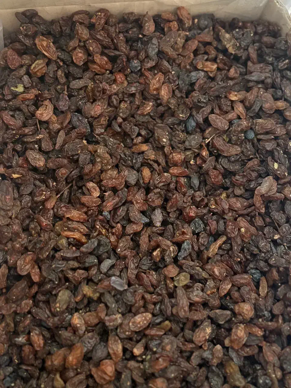 کشمش افتابی مخصوص ابگیری|عمدهفروشی|ششطراز, |دیوار