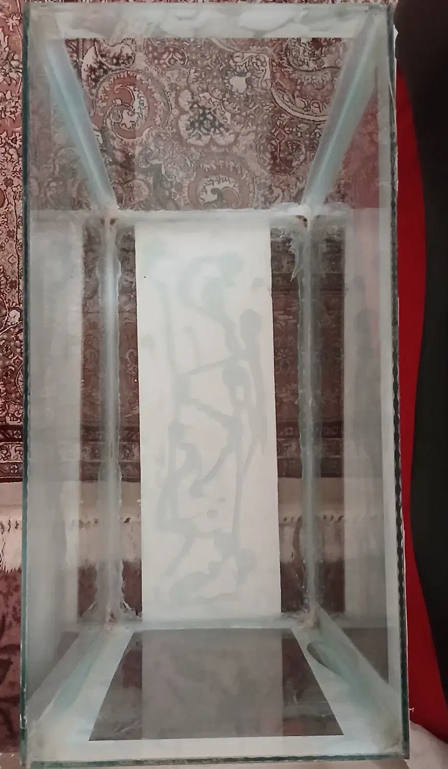 آکواریوم|ماهی|قم, پردیسان|دیوار