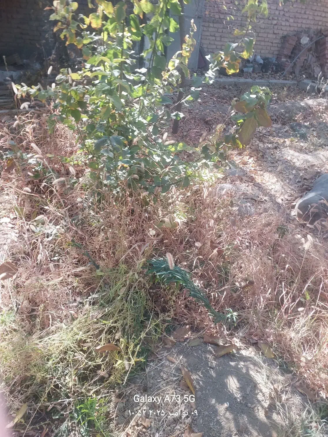 نظافت.منزل.راه پله باباامیرونگین ثبت 425312771|خدمات نظافت|دماوند, دماوند|دیوار