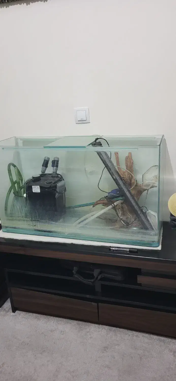 آکواریم سایز بزرگ|ماهی|قروه, |دیوار