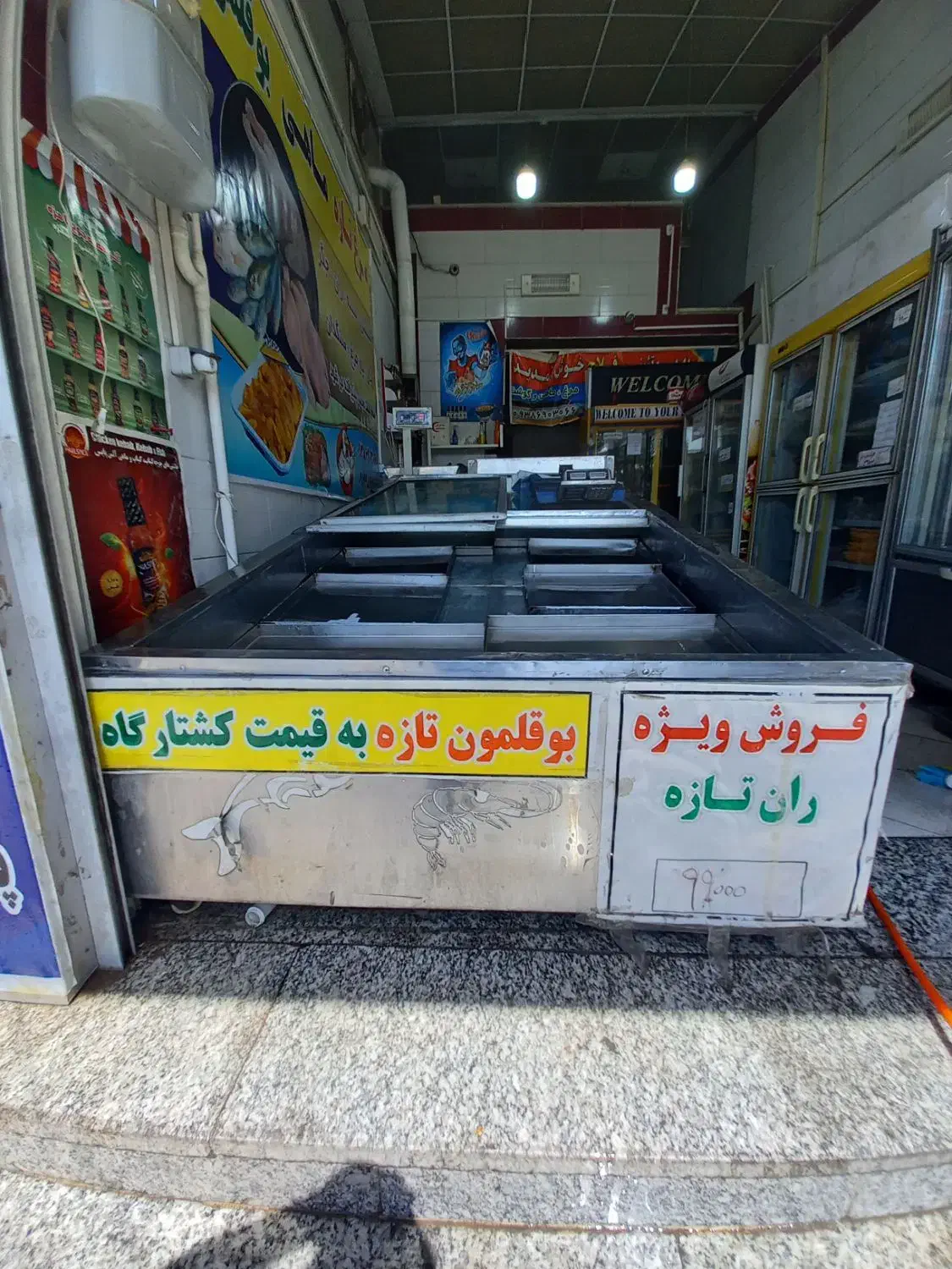 یخچال خوابیده مرغ و ماهی|فروشگاه و مغازه|تاکستان, |دیوار