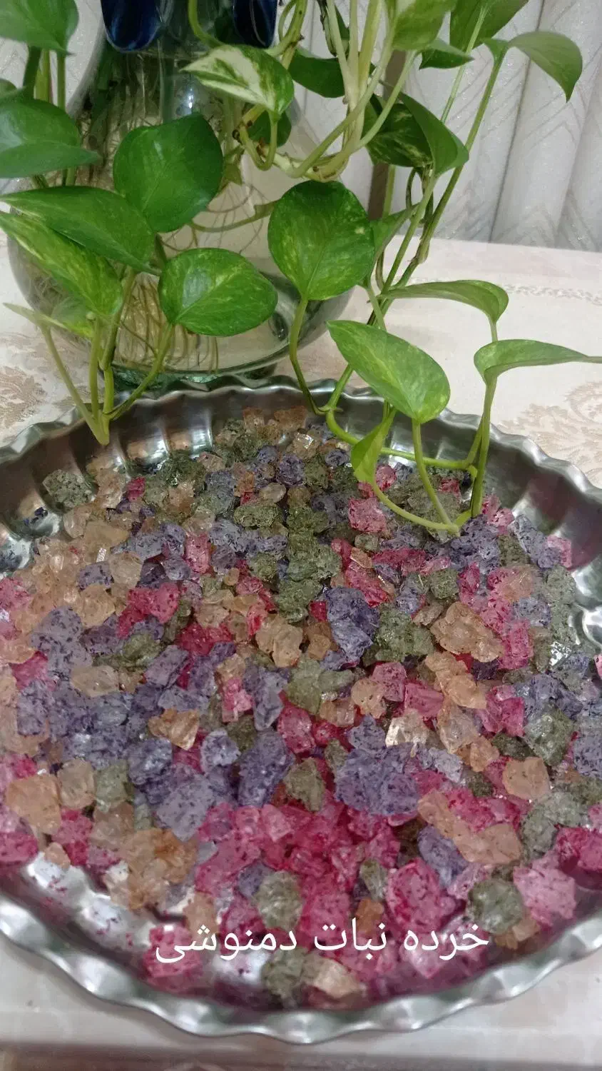 قند مخلوطی . نبات دمنوشی|خوردنی و آشامیدنی|رشت, عینک|دیوار