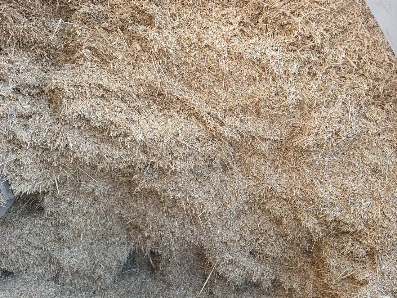 کاه گندم دیم|عمدهفروشی|قشلاق دشت, |دیوار