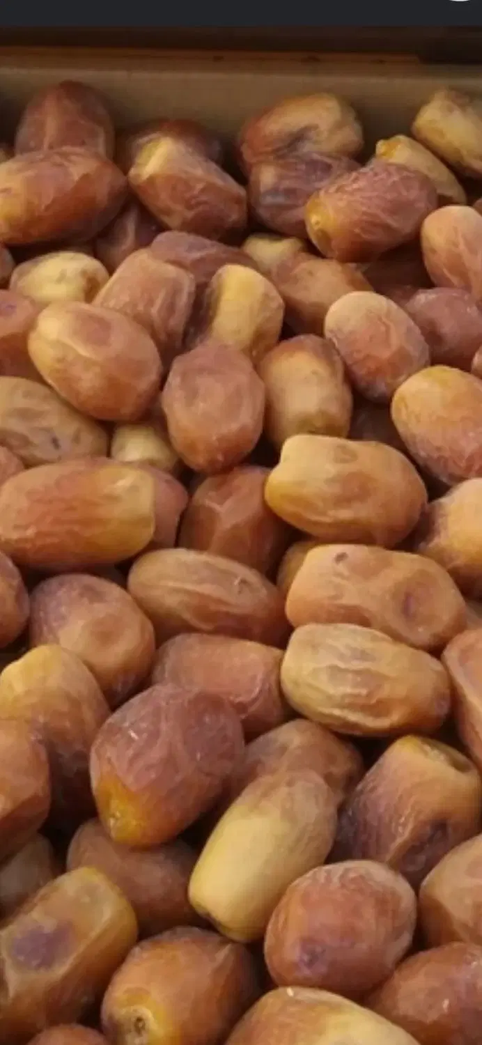 قصب|خوردنی و آشامیدنی|جم, |دیوار