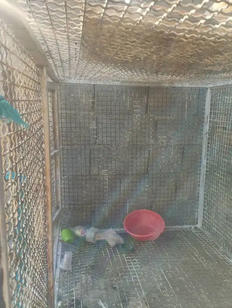 فنس بزرگ|لوازم جانبی حیوانات|ایرانشهر, |دیوار