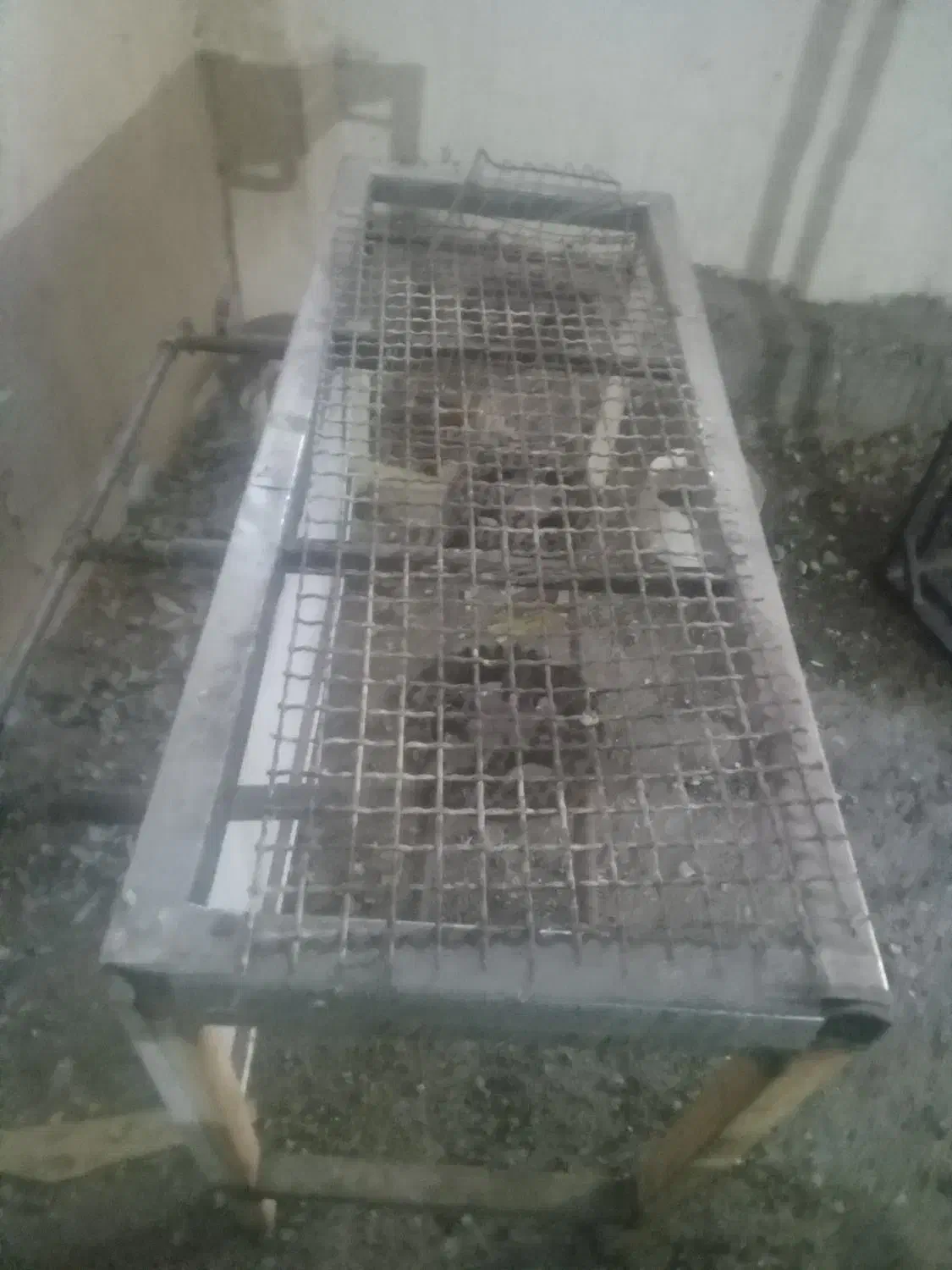 گاز ۳شعله،|اجاق گاز و لوازم برقی پخت‌وپز|شوشتر, |دیوار