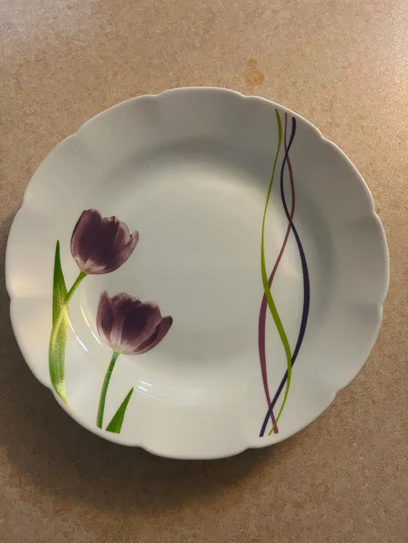 سرویس 18نفره آرکوپال دسینی|ظروف سرو و پذیرایی|اصفهان, تخت فولاد|دیوار