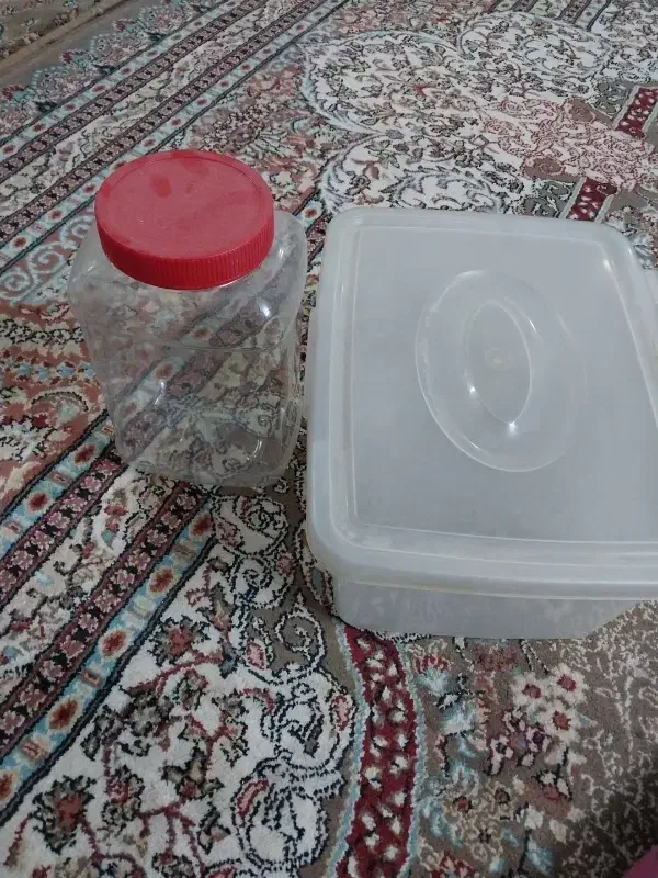 جا نونی|ظروف نگهدارنده، پلاستیکی، یک‌بارمصرف|گلبهار, شهر جدید گلبهار|دیوار