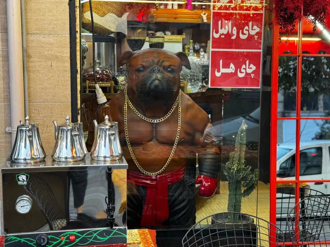 کلیه وسایل کافه صفر تاصد|کافی‌شاپ و رستوران|رشت, لاکانی|دیوار