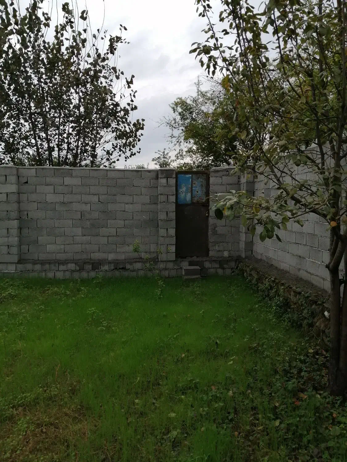 زمین داخل بافت روستای گل افرا بندر گز|فروش زمین و ملک کلنگی|بندر گز, |دیوار