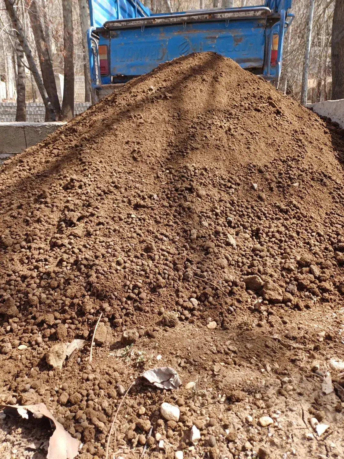 کودگوسفندی|خدمات باغبانی و درختکاری|شیراز, دوکوهک|دیوار