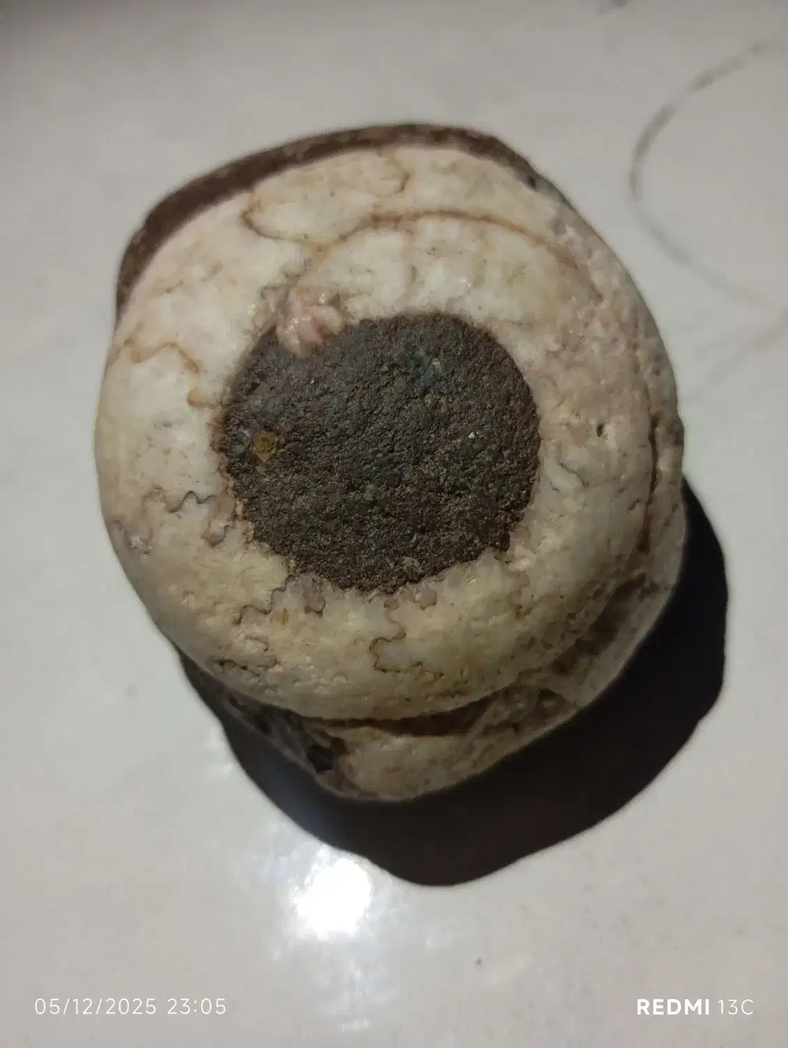 زیبا و جذاب|کلکسیون اشیاء عتیقه|تهران, گیشا|دیوار