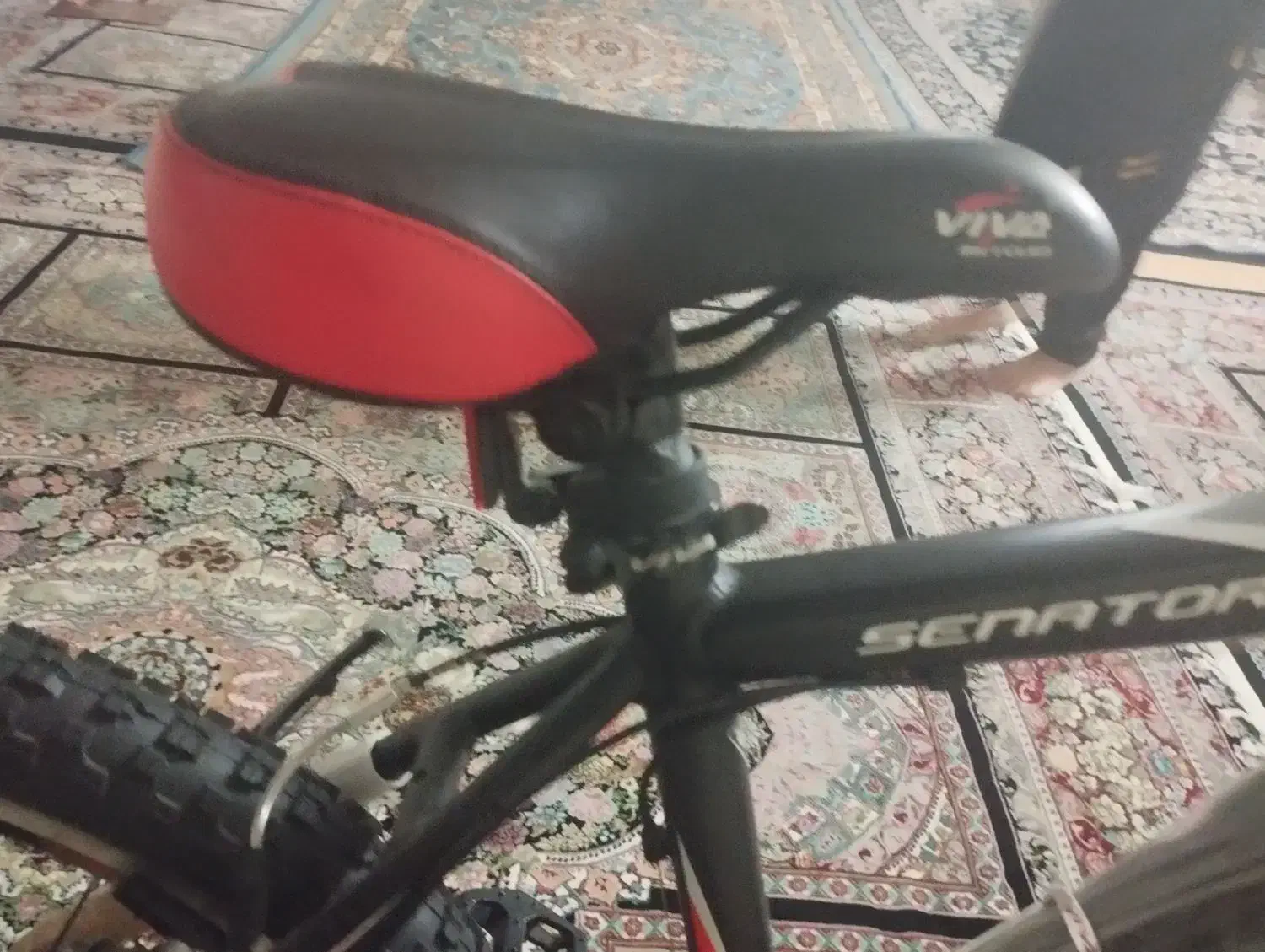 دوچرخه ویوا|دوچرخه، اسکیت، اسکوتر|تاکستان, |دیوار