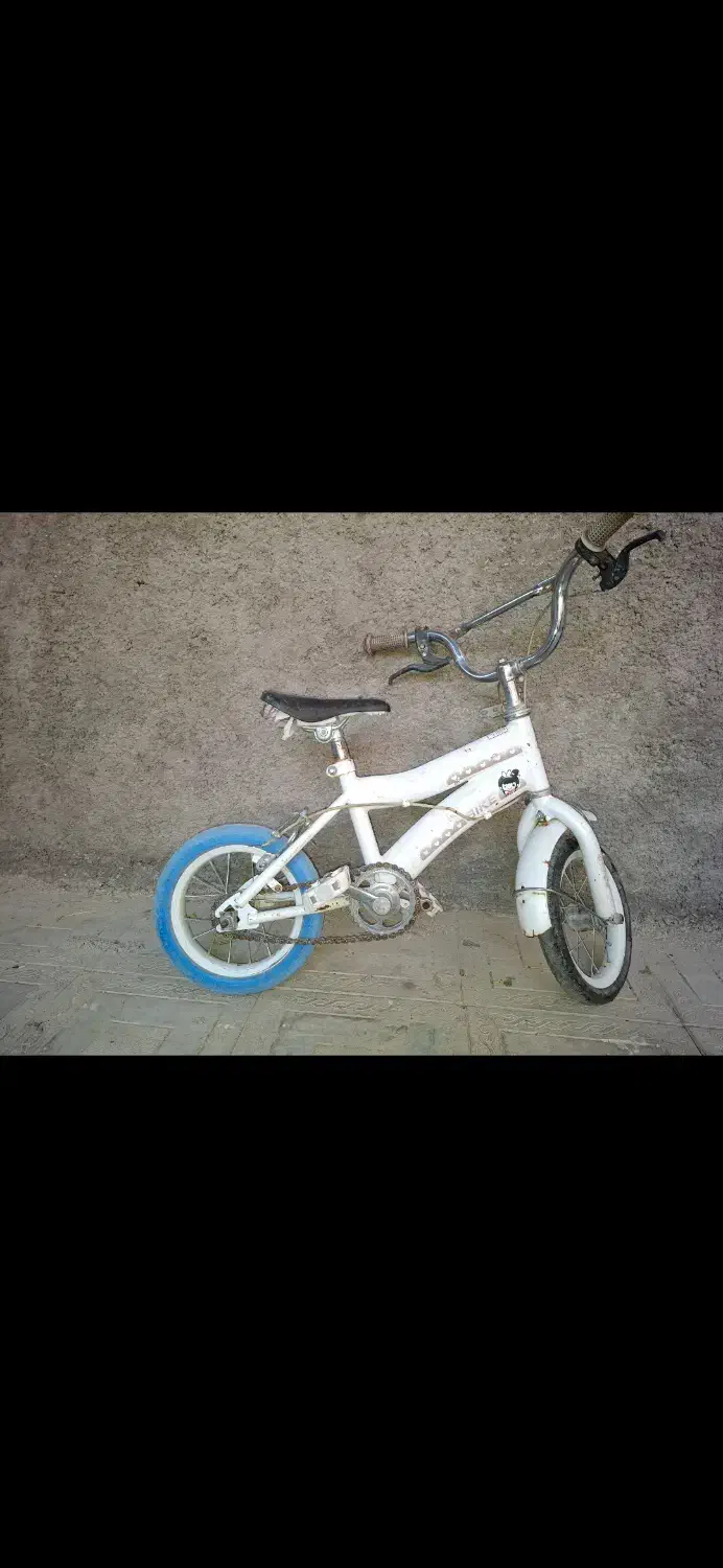 دوچرخه|دوچرخه، اسکیت، اسکوتر|داراب, |دیوار