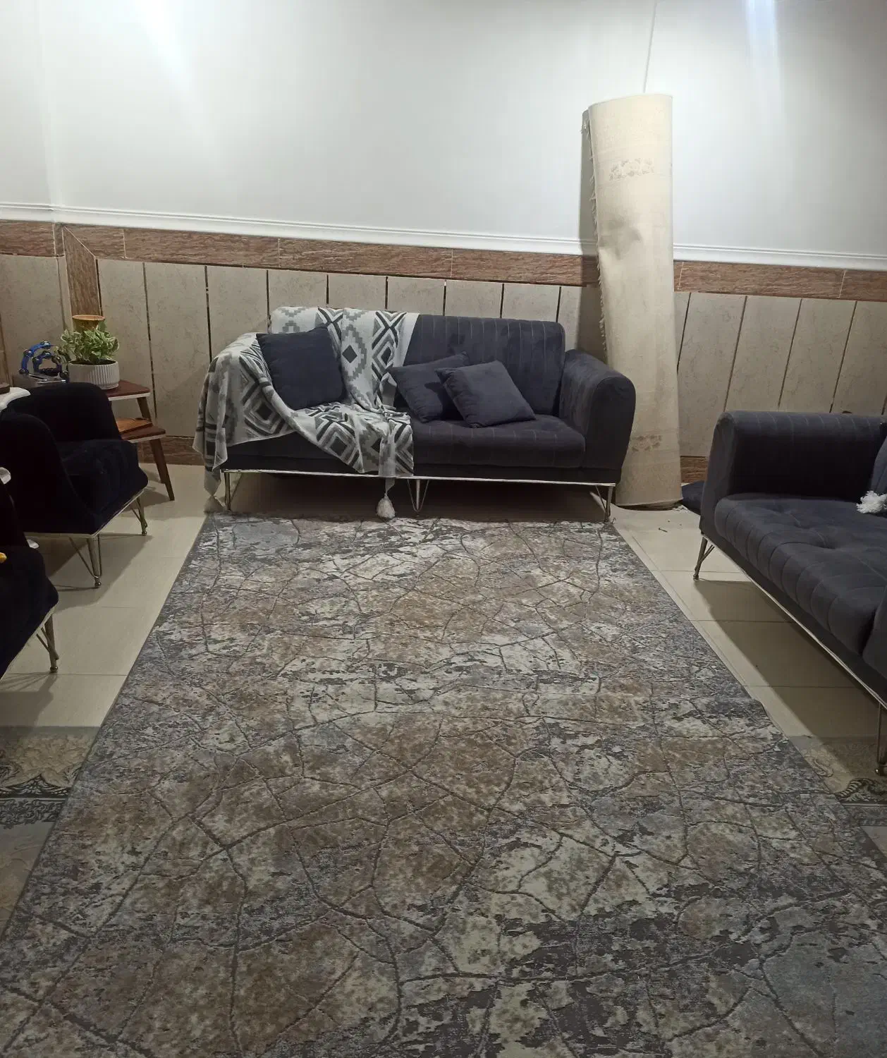 فرش طرح مدرن|فرش|شوشتر, |دیوار