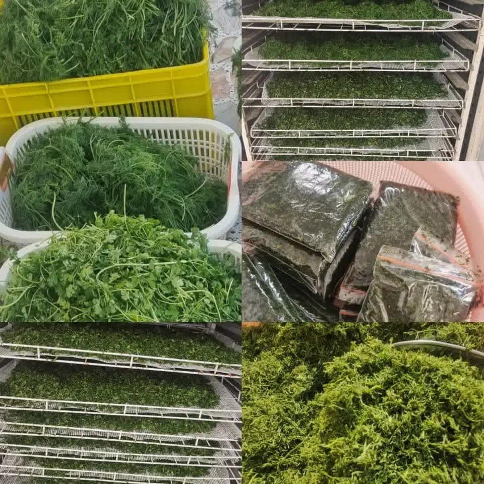 خورشتی جنوب|خوردنی و آشامیدنی|شاهین‌شهر, شهرک مطهری|دیوار