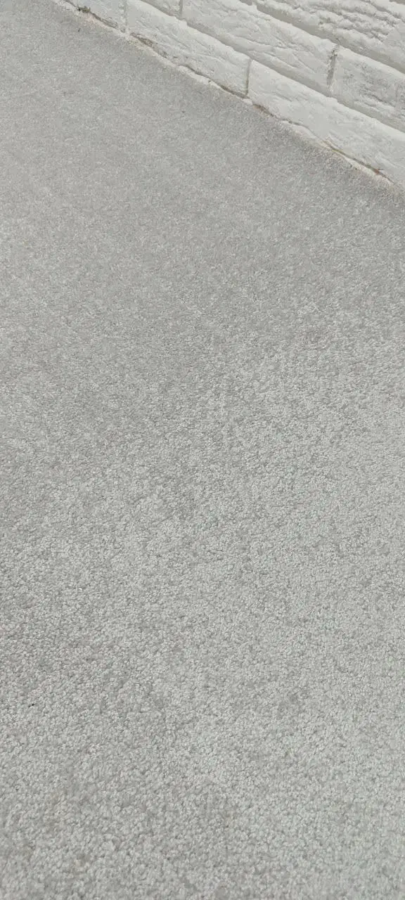 پالاز موکت نونو|موکت|رباطکریم, پرندک|دیوار