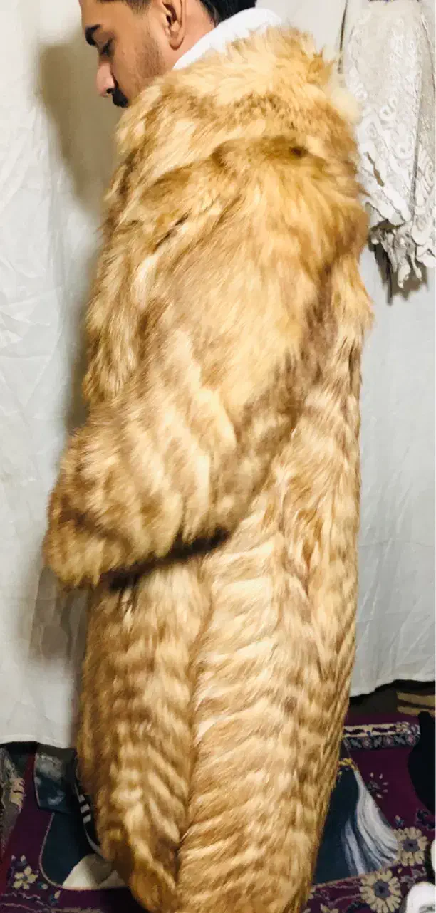 پالتو پوست طبیعی اورجینال|لباس|محمدشهر, محمدشهر|دیوار