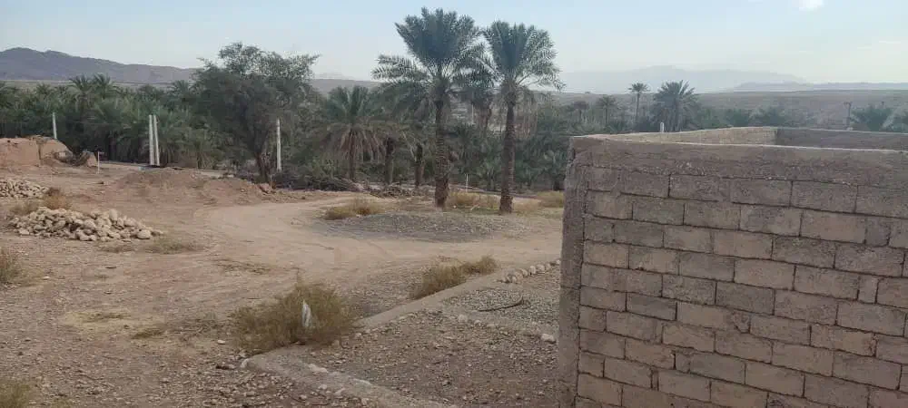 زمین مسکونی|فروش زمین و ملک کلنگی|احمدی, |دیوار