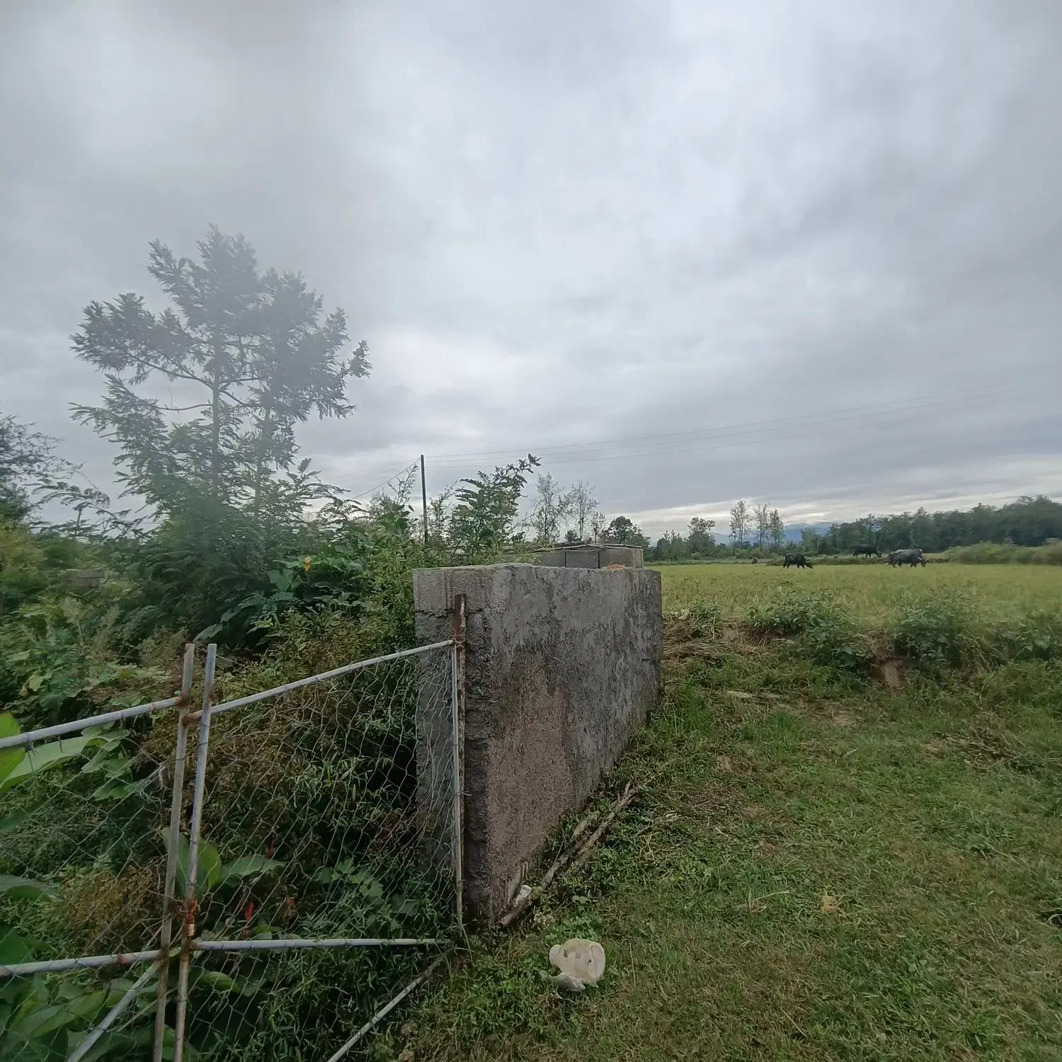 زمینی به مساحت ۲۷۰متر دارای پروانه ساخت|فروش زمین و ملک کلنگی|رضوانشهر, |دیوار