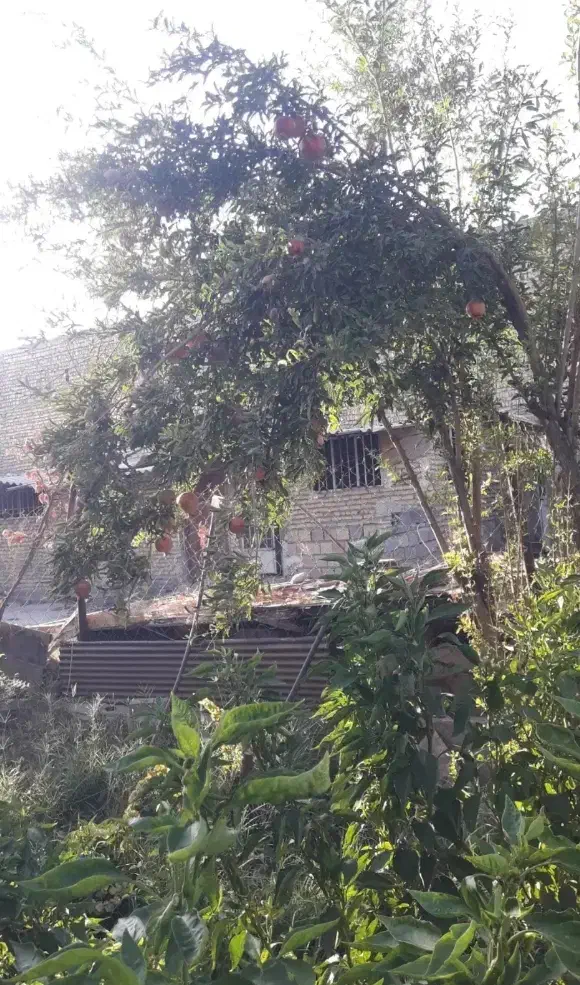 سوله|اجارهٔ دفتر صنعتی، کشاورزی، تجاری|قرچک, پویینک|دیوار