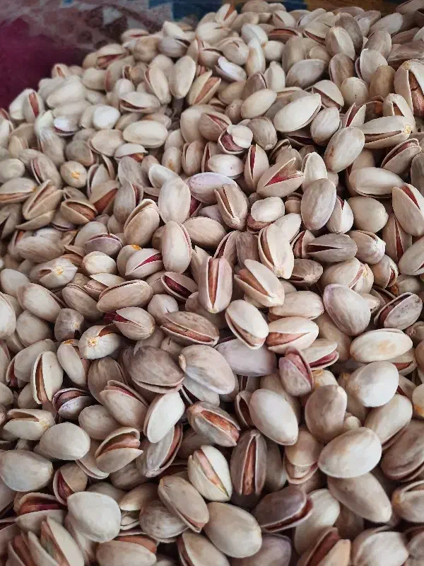 پسته|خوردنی و آشامیدنی|کویرات, |دیوار