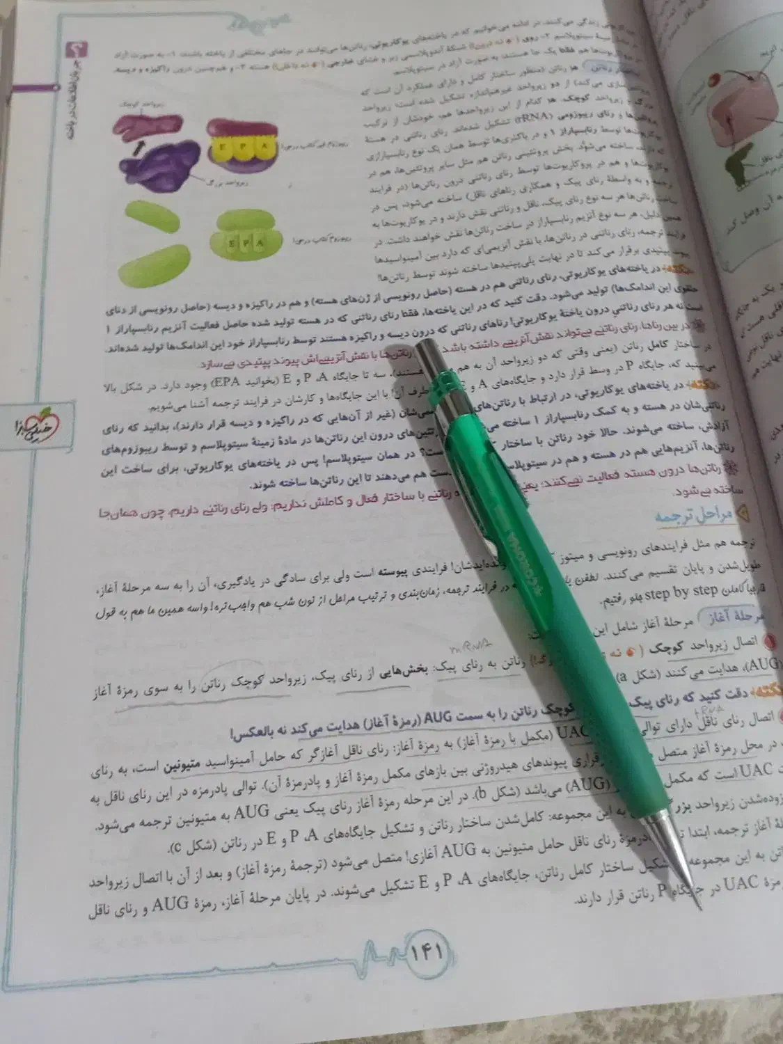 تدریس خصوصی دروس متوسطه|خدمات آموزشی|گرگان, |دیوار