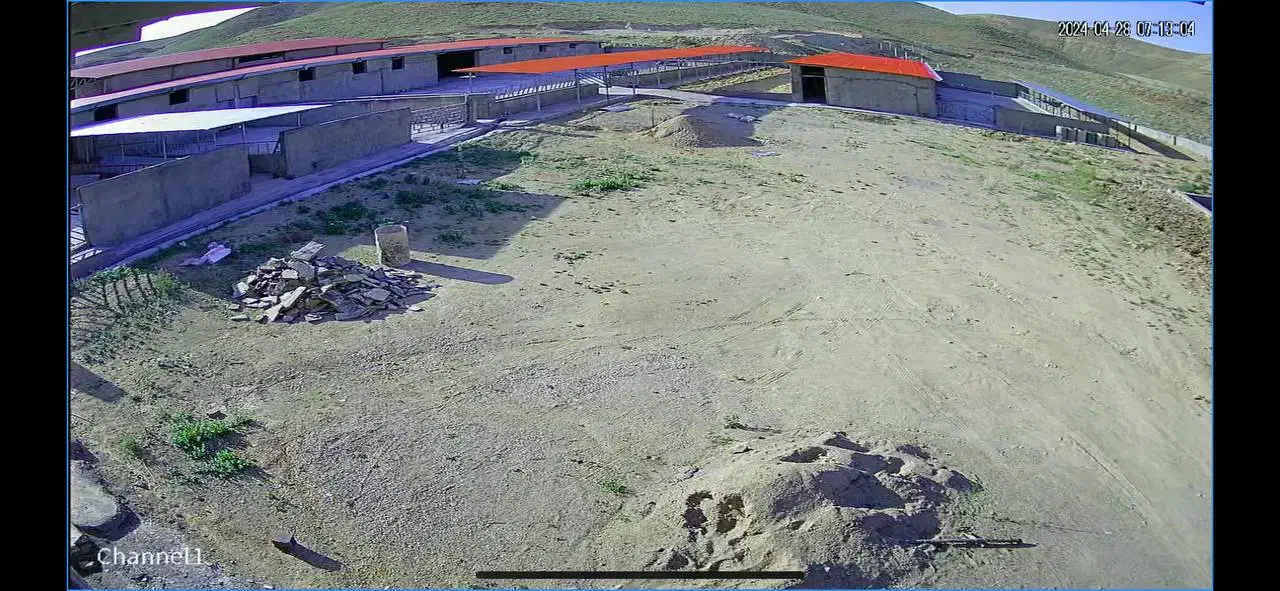 دوربین مداربسته|دوربین مداربسته|پرند, فاز ۲|دیوار