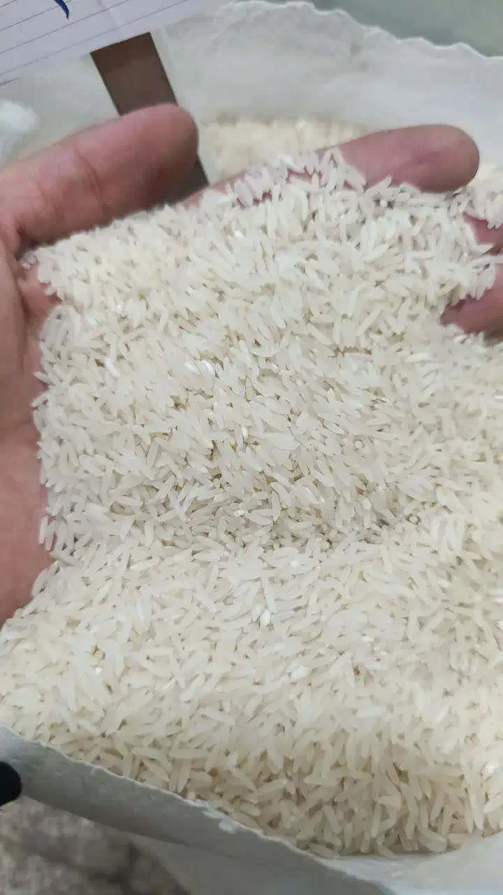 طارم محلی گرگان - فجر با کیفیت|خوردنی و آشامیدنی|اصفهان, خواجه عمید|دیوار