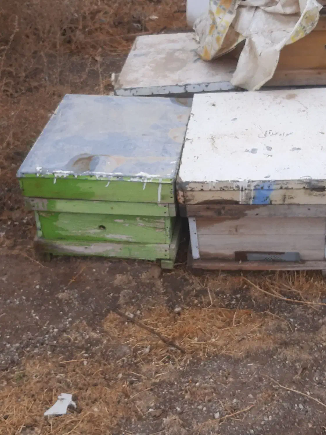 کندوی عسل خالی بدون شکستگی|لوازم جانبی حیوانات|تاکستان, |دیوار