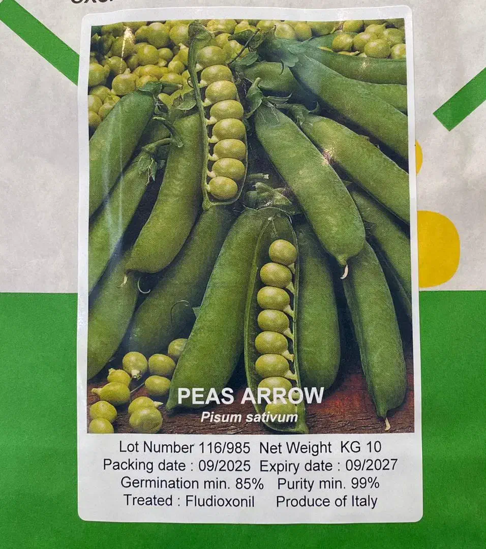 بذر نخودفرنگی راین|خدمات باغبانی و درختکاری|گرگان, |دیوار