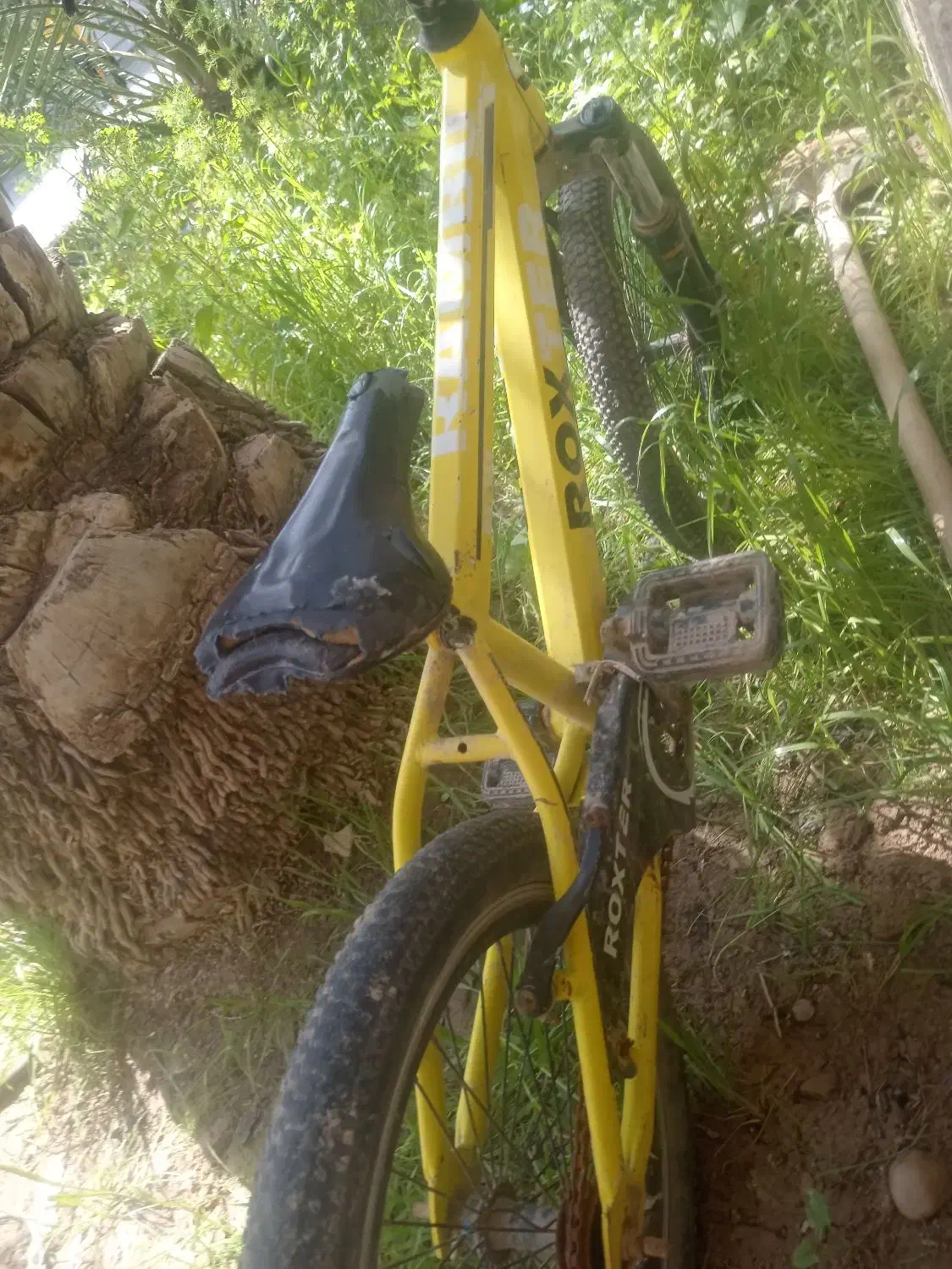 دوچرخه 20|دوچرخه، اسکیت، اسکوتر|شادگان, |دیوار