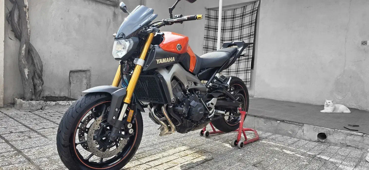 Mt 09 2015|موتورسیکلت|گنبد کاووس, |دیوار