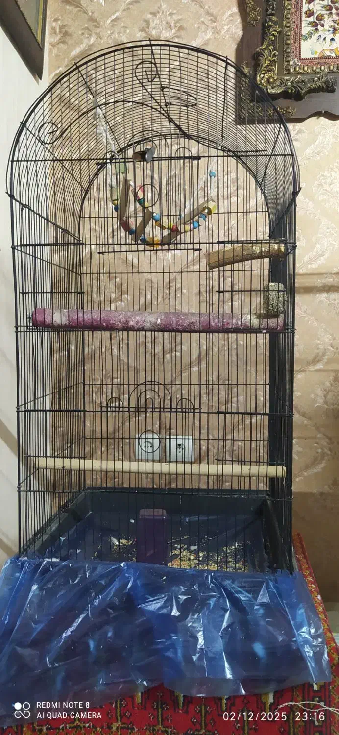 قفس پرنده|لوازم جانبی حیوانات|تهران, افسریه جنوبی|دیوار