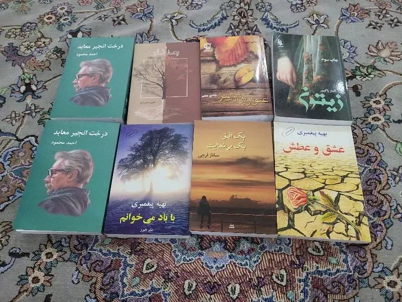 رمان|کتاب و مجله ادبی|تهران, مینای شمالی (مخبر)|دیوار